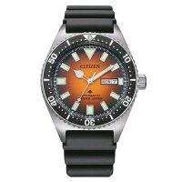 Citizen Armbanduhr NY0120-01ZE